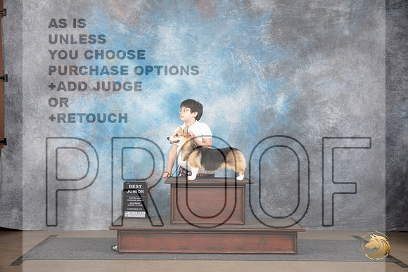 Pembroke Welsh Corgi #105 Sat BJr Judge Jennifer Landers__JP_2600_LongviewTX_2024_HR3