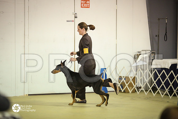 Dobe-7812-HtoJan14-HR