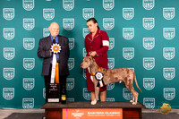 LCLD #201 Sat BISS Judge Larry Hansen