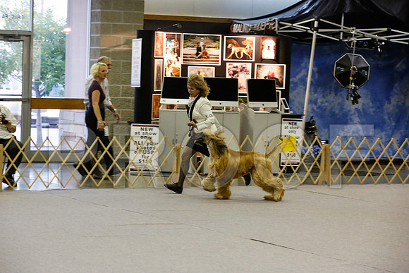 _JN_4288-AfgBeltonOct2014-HR3