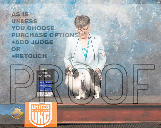 Japanese Chin #230 Sat1 G4 Judge Tracey Kallas_MMJ_6294_Addison2022_HR3