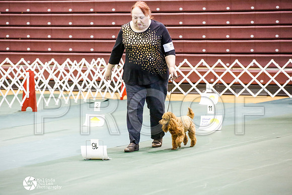 _JJ_4629-BsrCtyJun2014-HR3