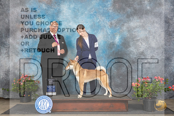 Shikoku Ken #5 Sun OG3 Judge John Booth__JP_5994_San Antonio_2024_HR3