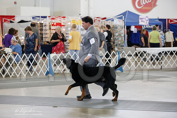_JJ_6274-DallasJul2014-HR3
