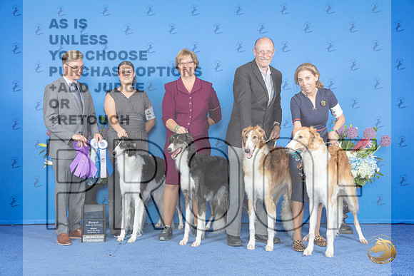 Borzoi #19 #32 #30 #11 FRI family Judge Douglas Johnson__JP_8970_Houston_2024_HR3