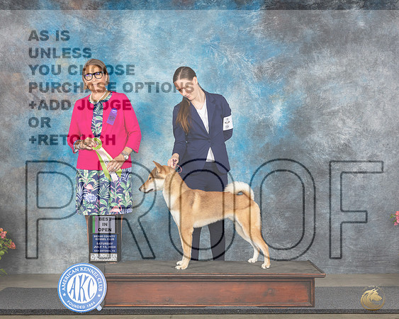 Shikoku Ken #5 Sun OG3 Judge John Booth__JP_5995e_San Antonio_2024-HR3.jpg