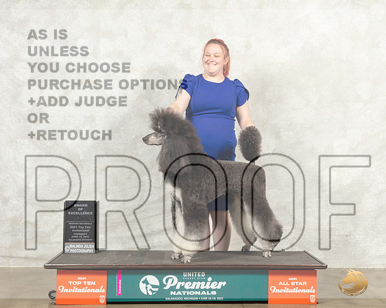 Poodle Std MC #? Thurs AOE Judge Karen Hynek__MJ_7377_Premier_2022_HR3