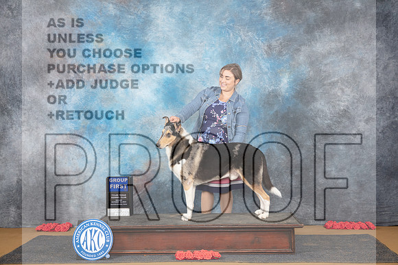 Collie Smooth #5 Sun G1 Judge Beth Dowey__JP_0933_Sulphur Springs_2024_HR3