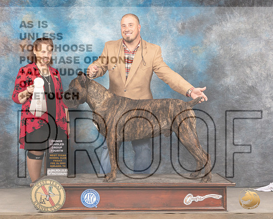 Cane Corso #5 Fri OHG4 Judge Donnelle RichardsMMJ_3426_Mdlnd2022_HR3
