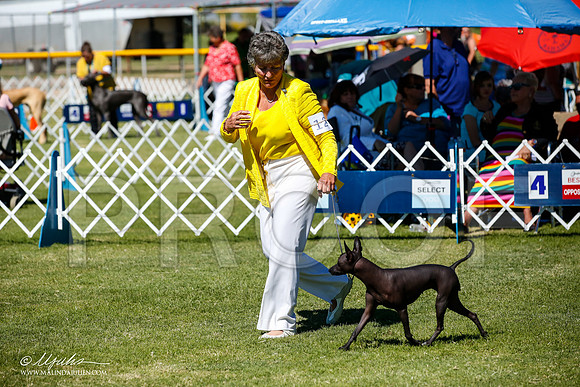 _JJ_8395-AlamogordoOct2014-HR3
