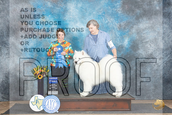 Samoyed #7 Fri G1 Judge Sandra Walker__JP_9510_Abilene_2024_HR3