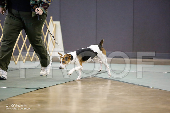 _LH_3579-BeltonJan2015-HR3