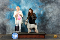 Pumi #5 Mon OHG1 Judge Debra Thornton
