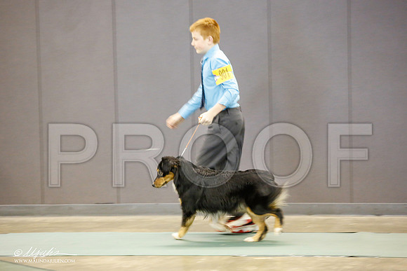 _JN_1407-BeltonJan2015-HR3