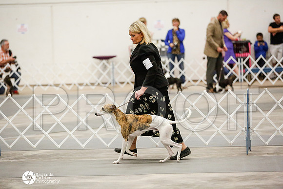 _RH_1851-AblnMay2014-web