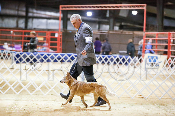 _JN_4047-2-GlenRoseJan2015-HR3