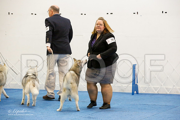 _M3_1275-AddisonHuskyMar2015-HR3