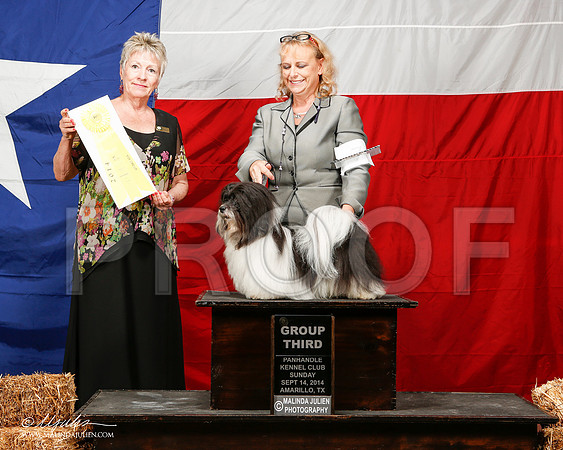_ST_2040-2-AmarilloSep2014-HR3