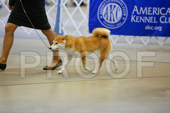 _JJ_8321-AmarilloSept2014-HR3