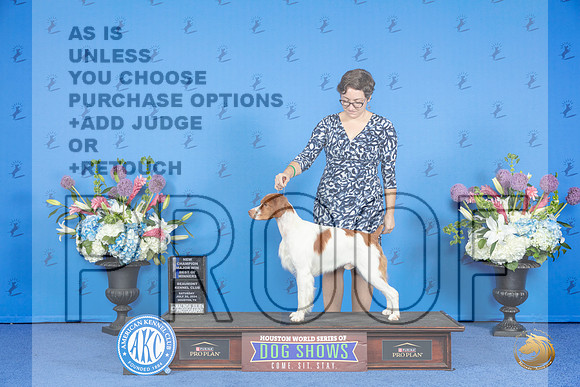 Brittany #19 SAT BOW NC M Judge Ronald Freeman__JP_9693_Houston_2024_HR3