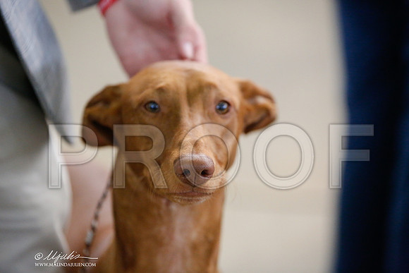 _JJ_4384-DallasJul2014-HR3