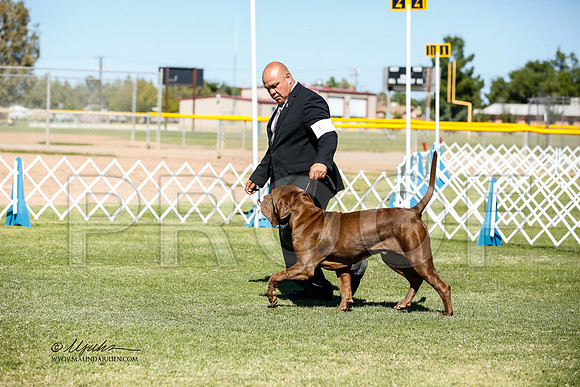 _JN_0722-AlamogordoOct2014-HR3