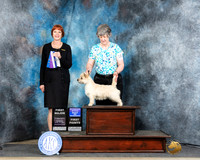 Diane Gaines Fayetteville 2024