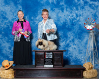 Pekingese #8 Thrs NC BOS SKinner Colleen Roma Skinner Judge Mrs Carolyn A Herbel