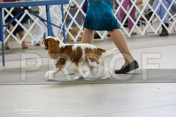 _HR_2392-DallasJul2014-HR3