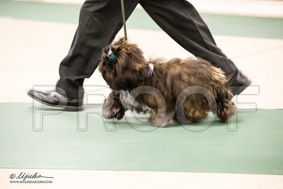_JN_0143-NrmnNov2014-HR3