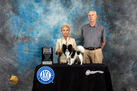 Papillon #16  Fri2 9to123rd Judge Jon Cole