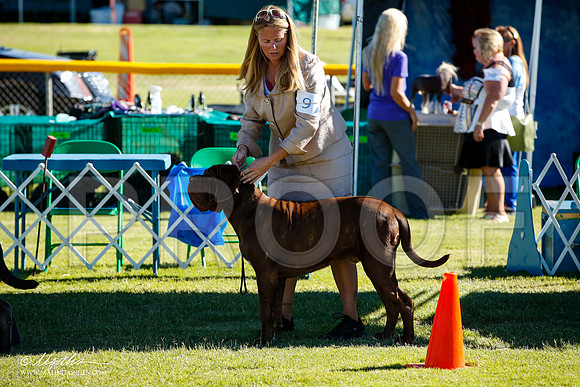 _JJ_9532-AlamogordoOct2014-HR3