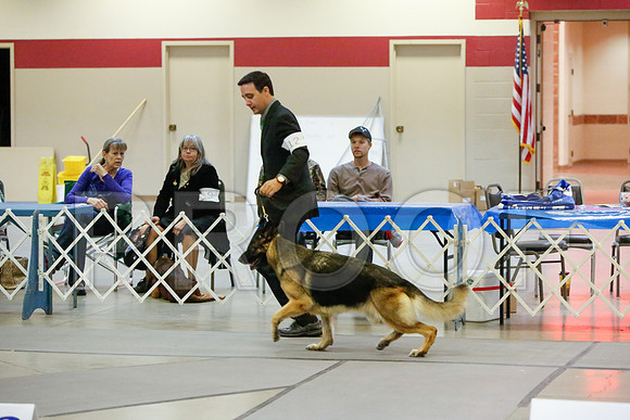 _JJ_5236-AmarilloSept2014-HR3