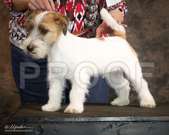JRT-9377-CntnOct13-HR