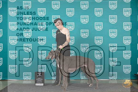 Greyhounnds #104 #105 Judge Jennifer Landers__JP_0303_Premier_2024_HR3