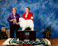 American Eskimo #5 Fri BISS OL