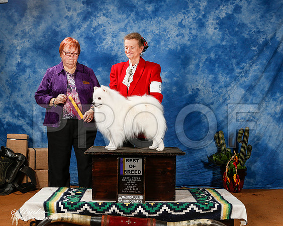 _ST_0721-2-GlenRoseJan2015-HR3