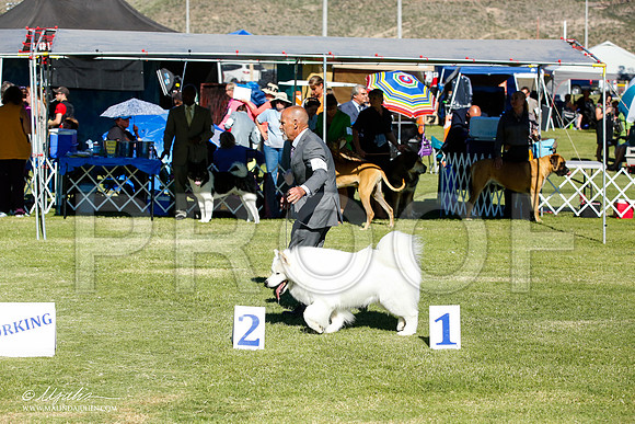 _JN_7479-AlamogordoOct2014-HR3