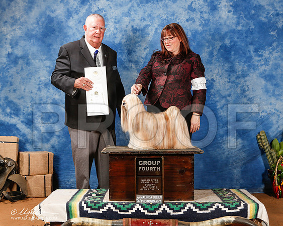 _ST_1608-2-GlenRoseJan2015-HR3