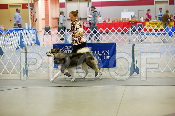 _JJ_7481-AmarilloSept2014-HR3