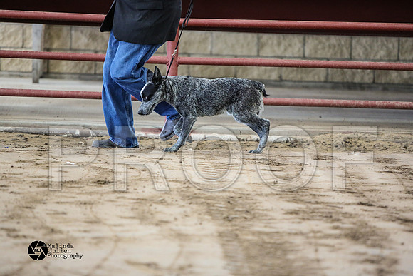 MJ2_0587-WacoFeb14-HR