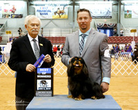 Cavalier King Charles Spaniel #25 Sat Best of Winners Green Richard Judge N Patton