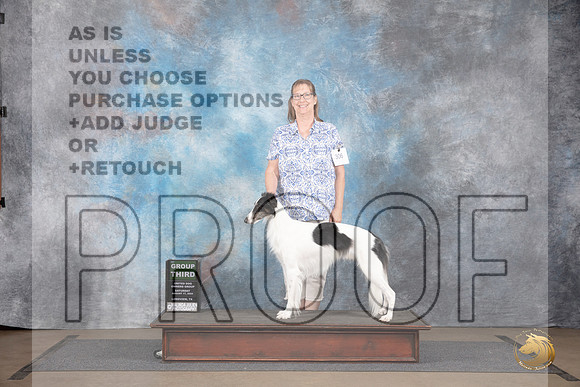 Silken Windhound #306 Sat BOB G3 Judge Matthew Proctor__JP_2643_LongviewTX_2024_HR3