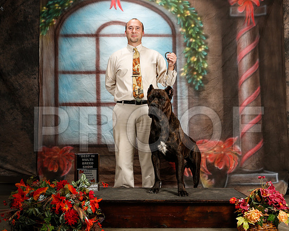 _ST_7095-2-NrmnNov2014-HR3