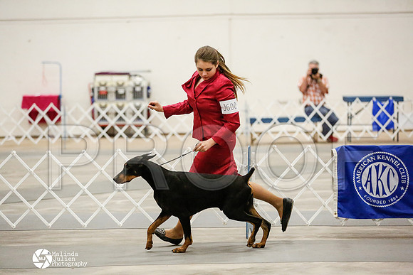 _RH_2149-AblnMay2014-web