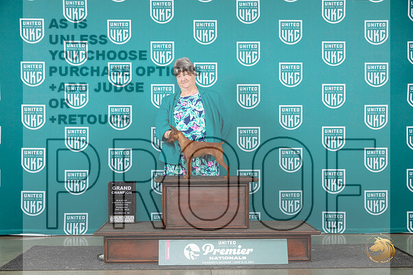 Miniature Pinscher # Wed GCH r__JP_2206_Premier_2024_HR3