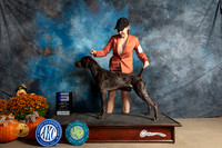 German Shorthaired Pointer #11 Sat WD Judge Dan Dowling