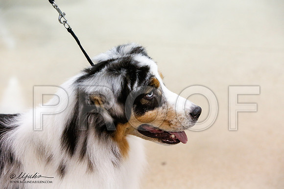 _LH_0096-ASCACollegeStationNov2014-HR3