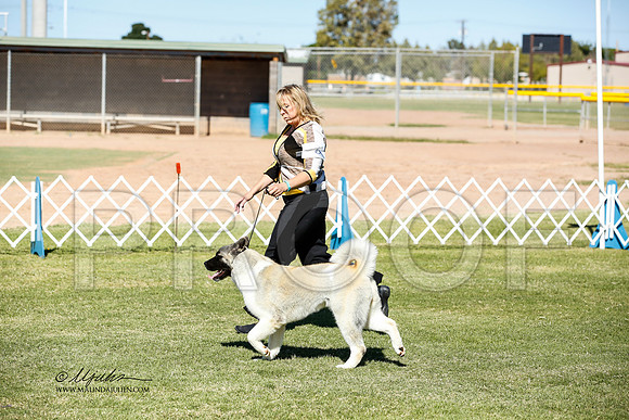 _JN_0653-AlamogordoOct2014-HR3