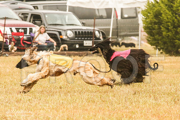_MJ_3496-AfgBeltonOct2014-HR3